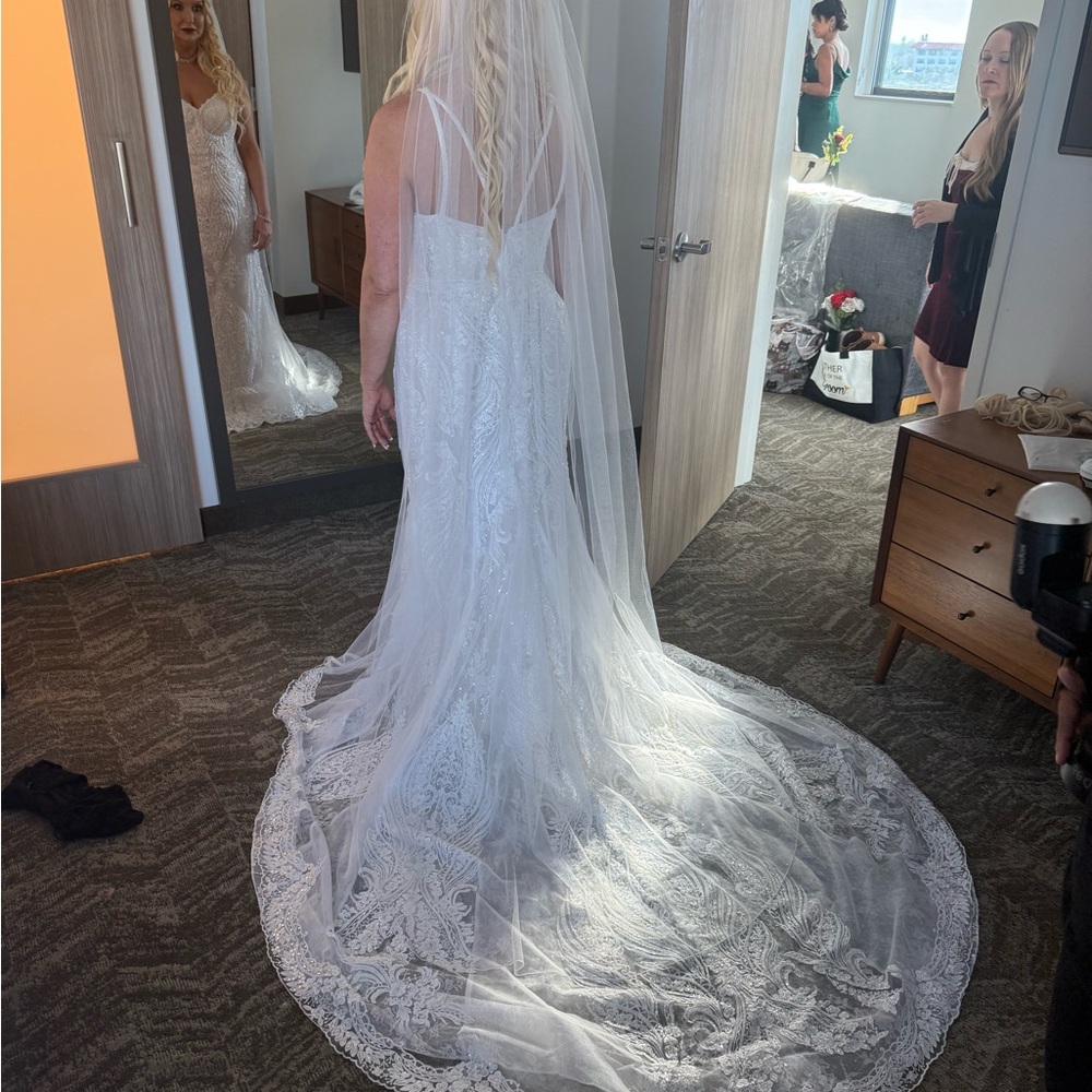 Long cathedral veil
